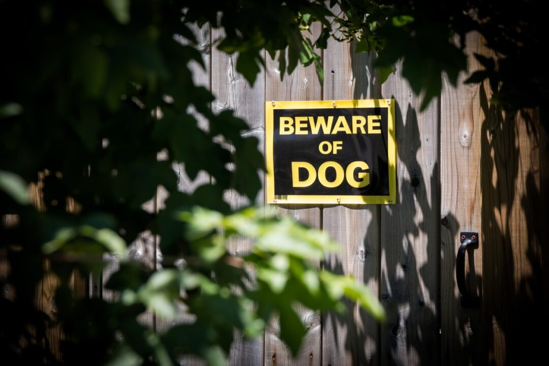 Dog Bite Attorney