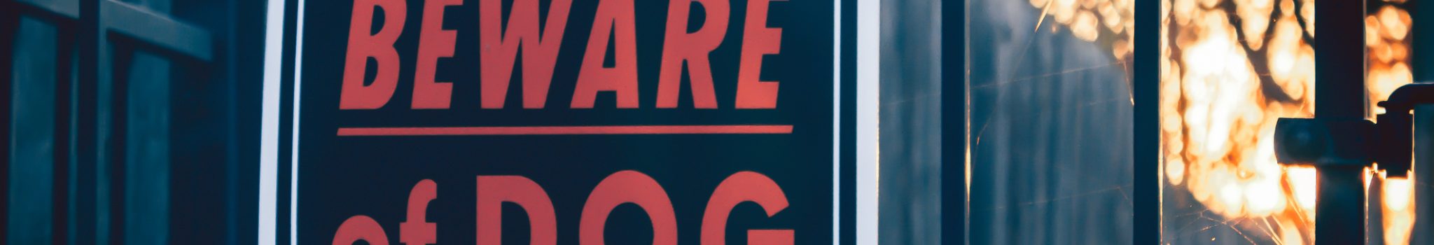 dog bite lawyers